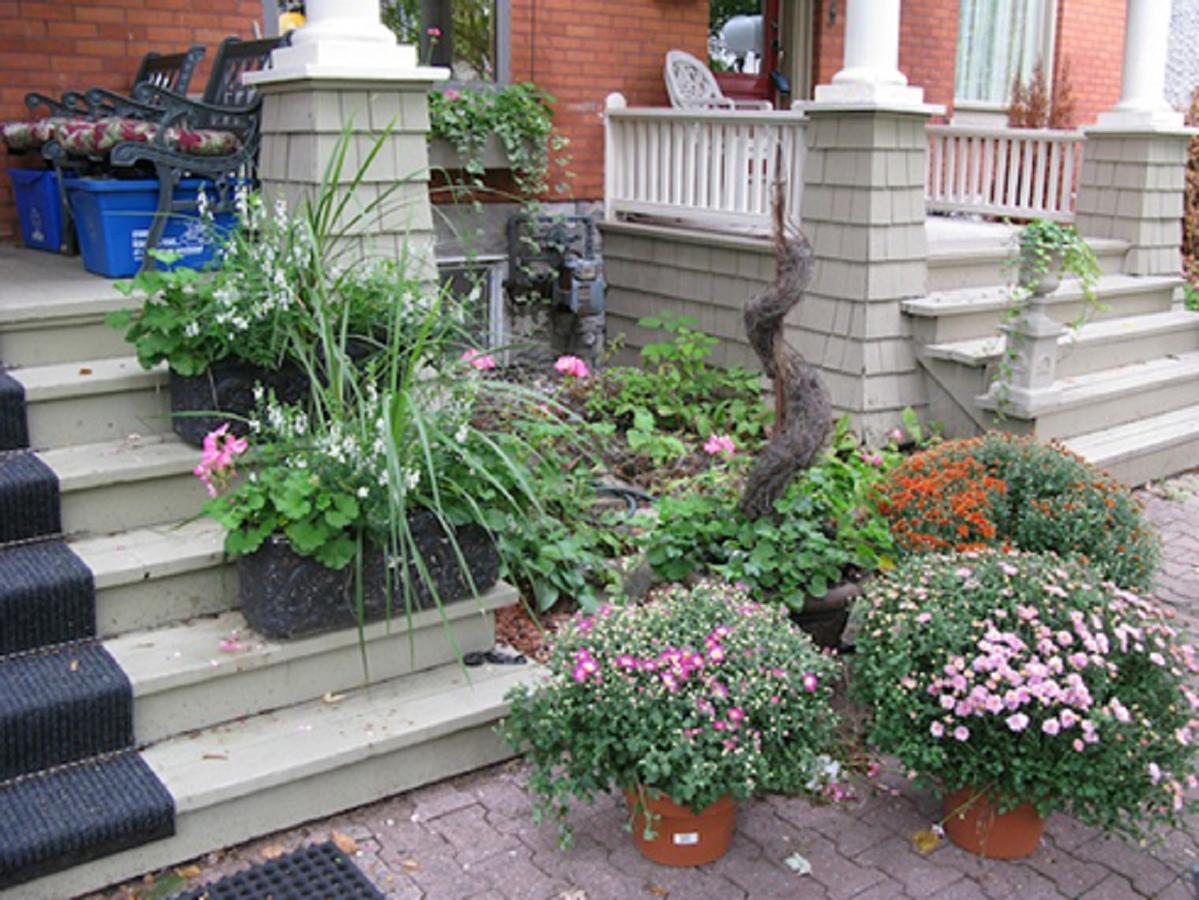 Avalon Bed And Breakfast Ottawa Esterno foto